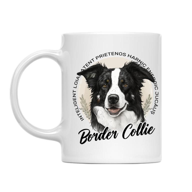 Caracteristicile Border Collie
