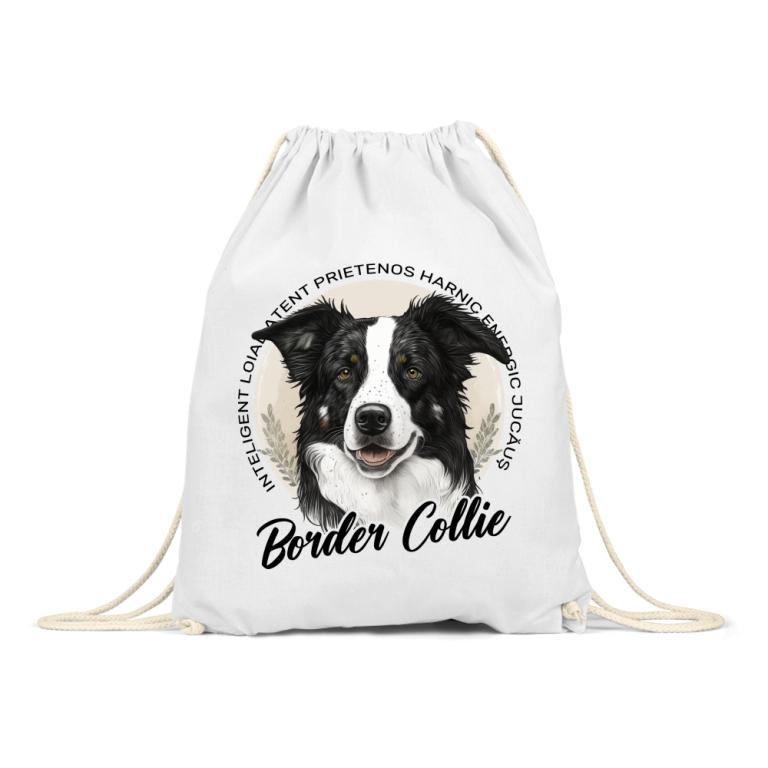 Caracteristicile Border Collie