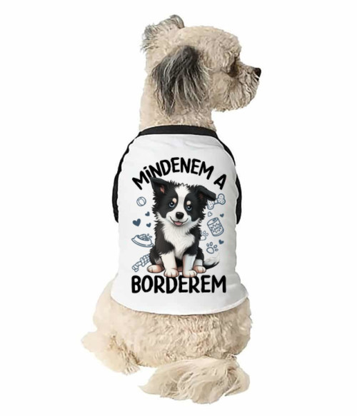 Mindenem a borderem Border Collie Fajtamentő Egyesület Állatoknak - Kutyás