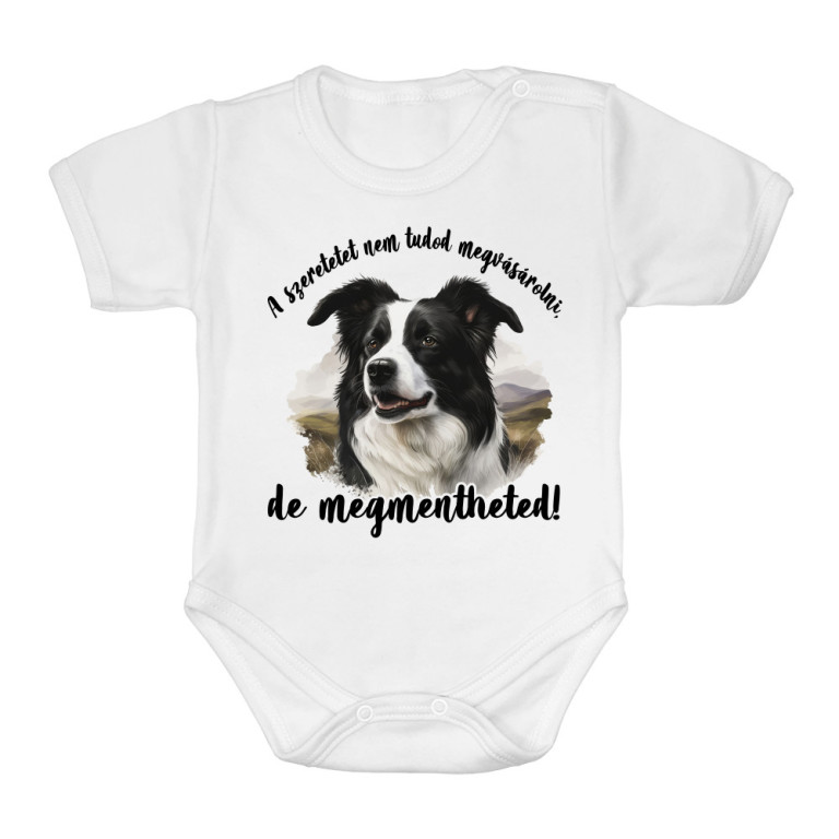 A szeretet - Border Collie - Baba Body