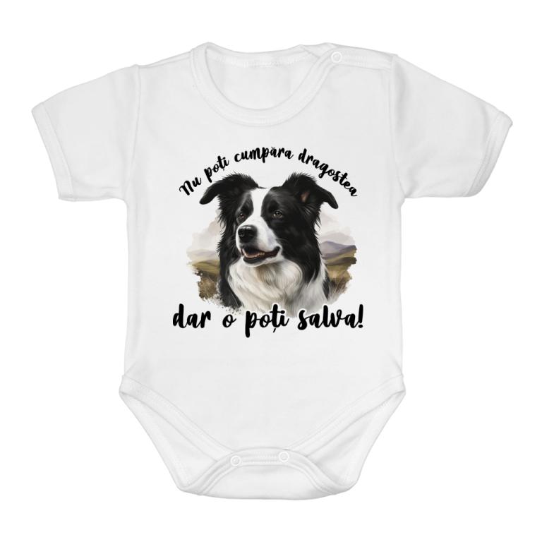 Dragostea - Border Collie