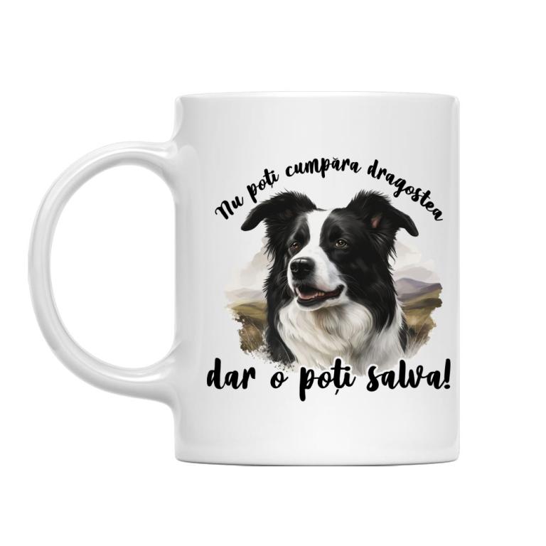 Dragostea - Border Collie