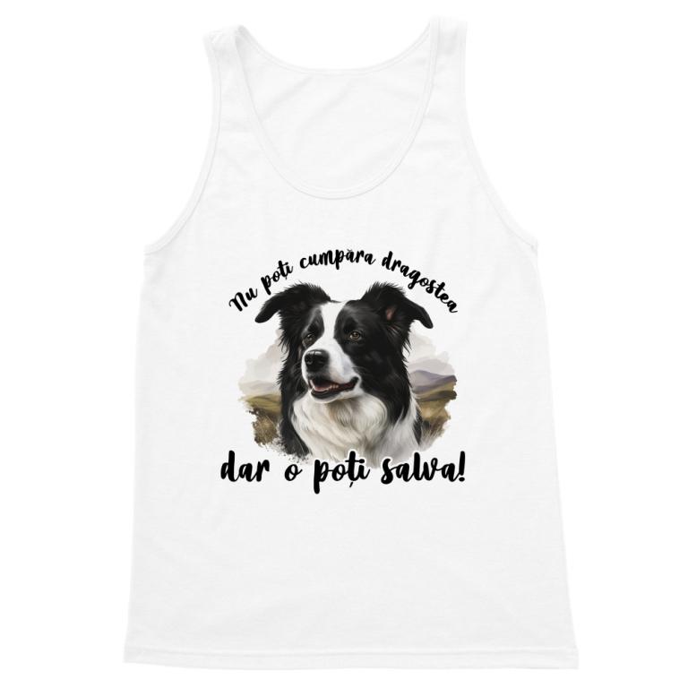 Dragostea - Border Collie