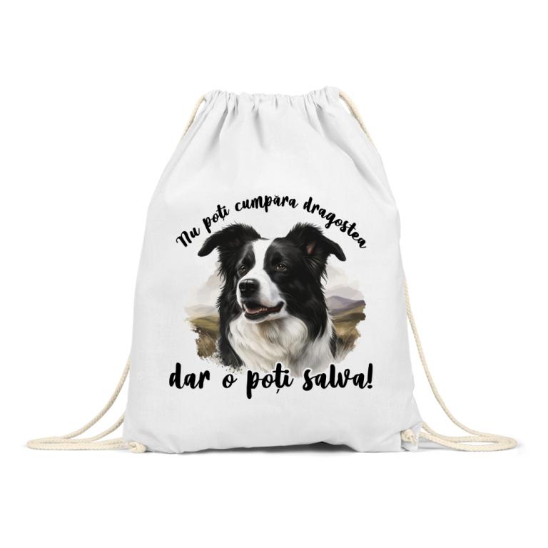 Dragostea - Border Collie