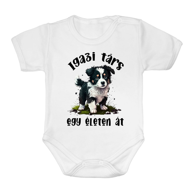 Igazi társ - Border Collie - Baba Body