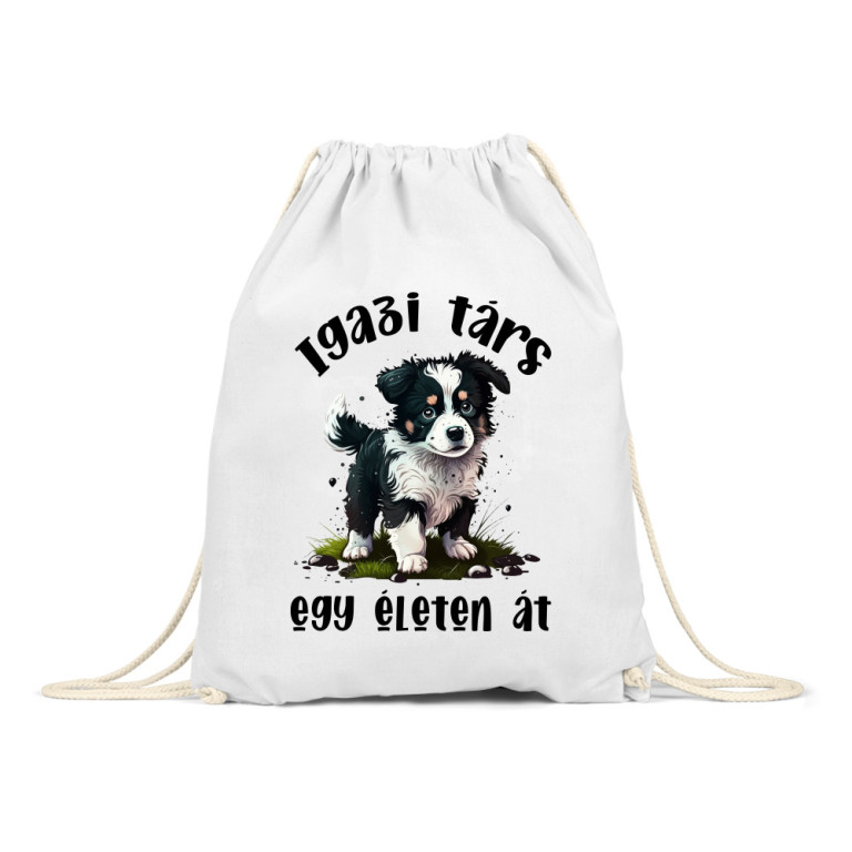 Igazi társ - Border Collie - Tornazsák
