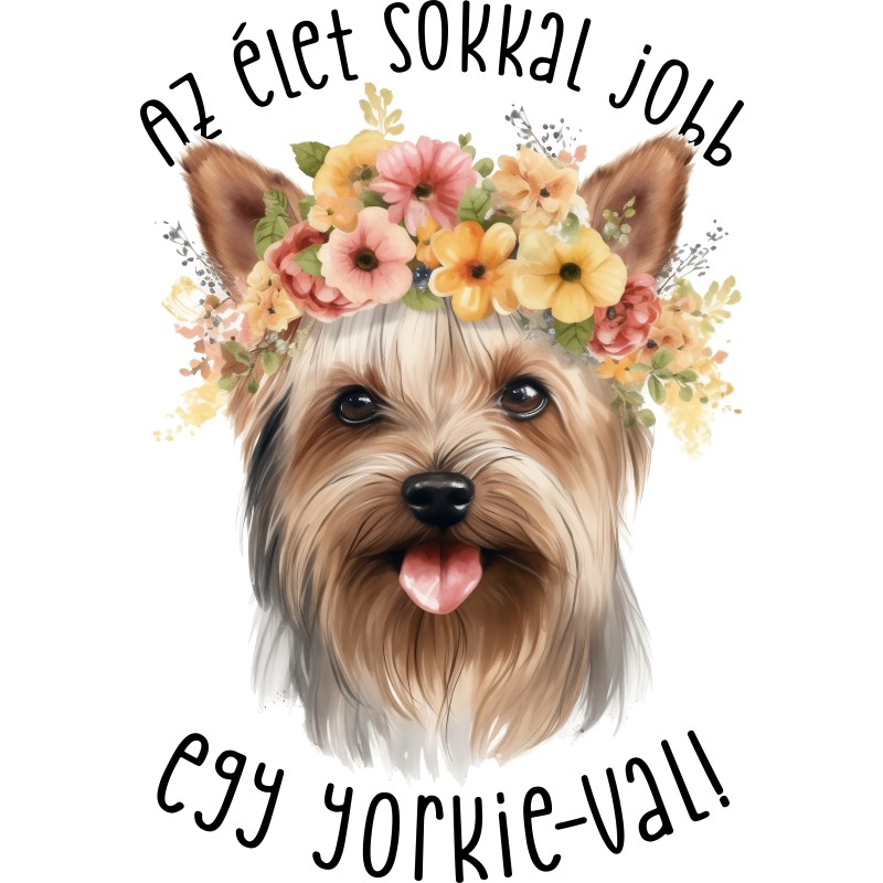Az élet sokkal jobb egy yorkie-val