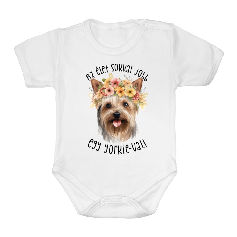Az élet sokkal jobb egy yorkie-val