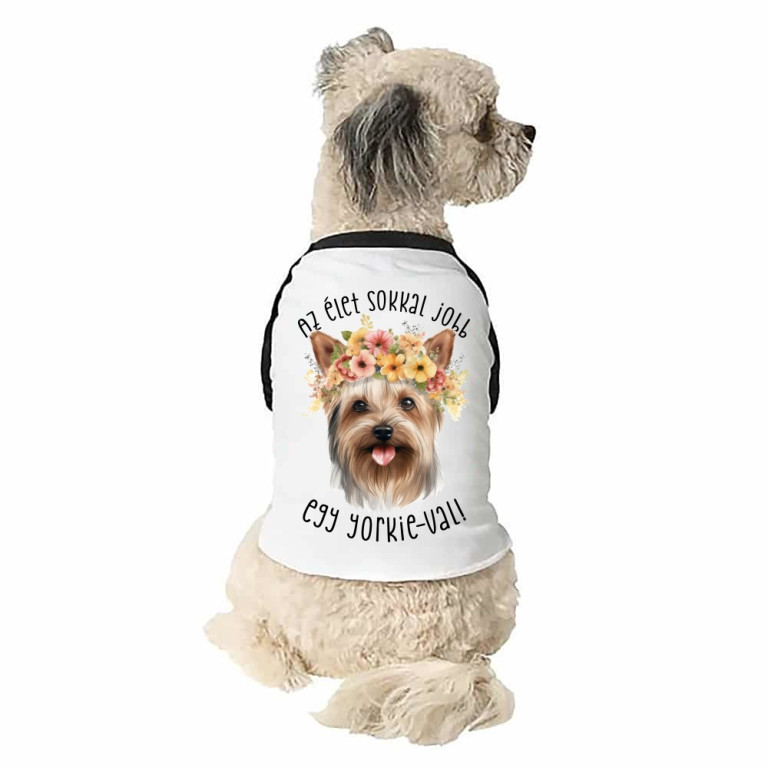 Az élet sokkal jobb egy yorkie-val
