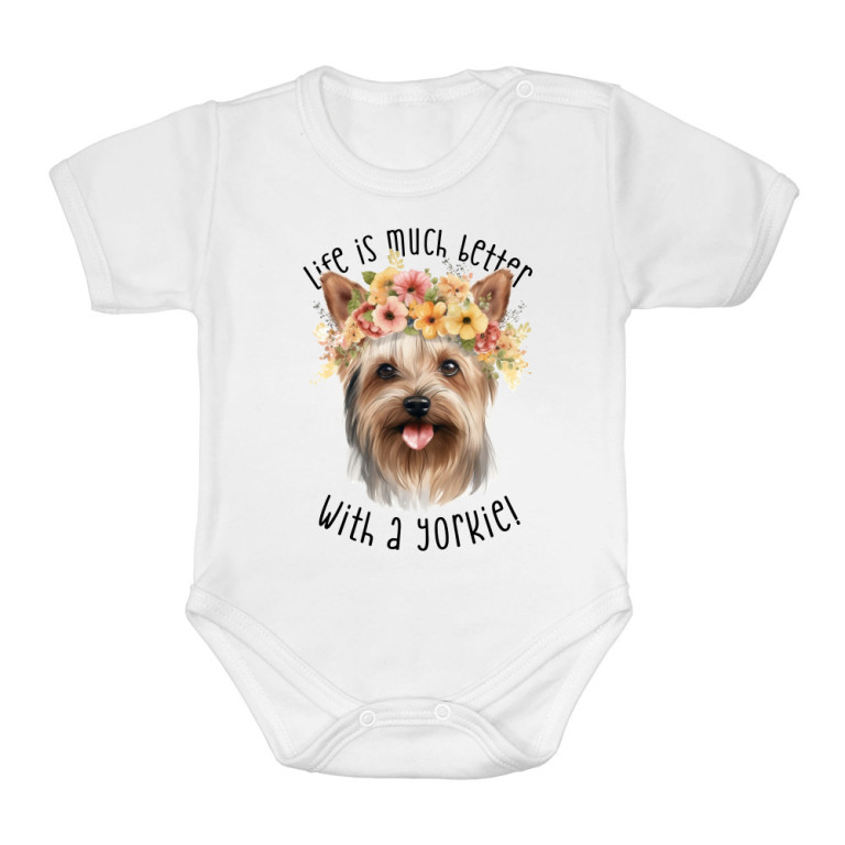 The life with a yorkie