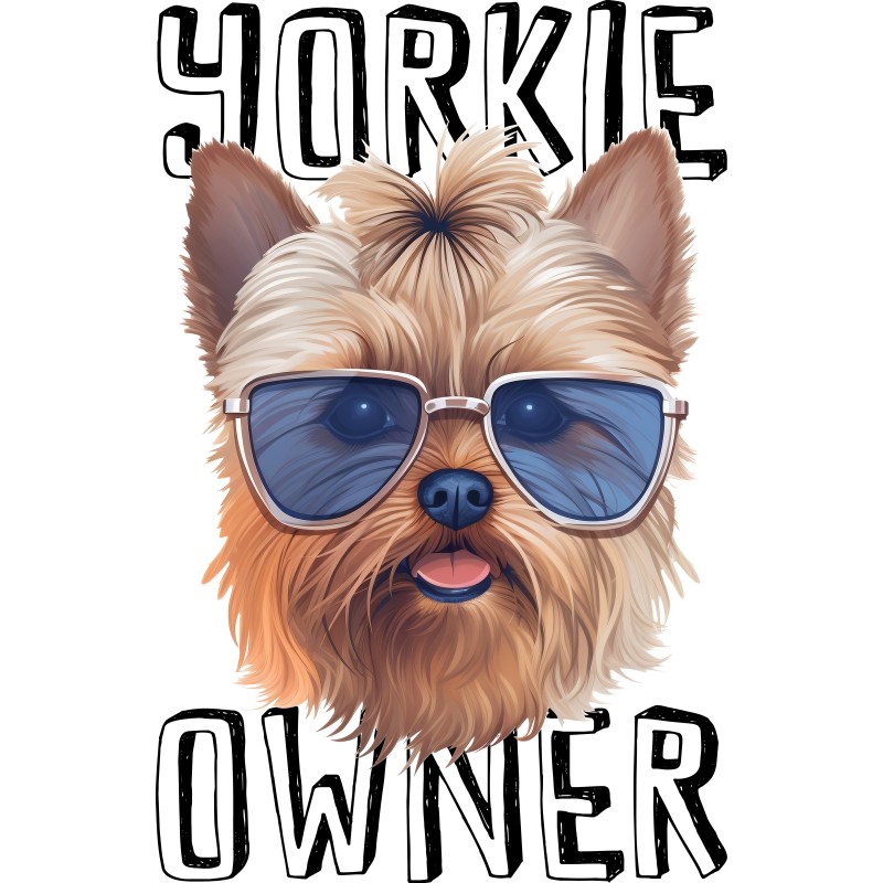 Yorkie owner
