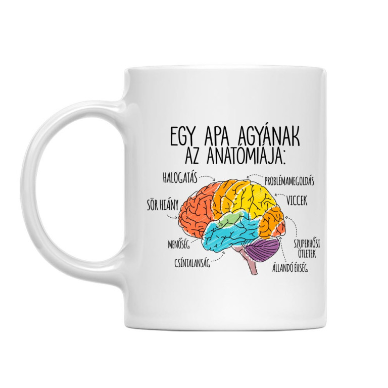Apa agy anatómia - Bögre