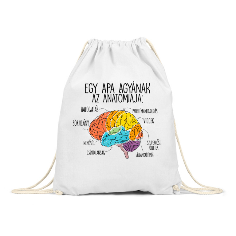 Apa agy anatómia - Tornazsák