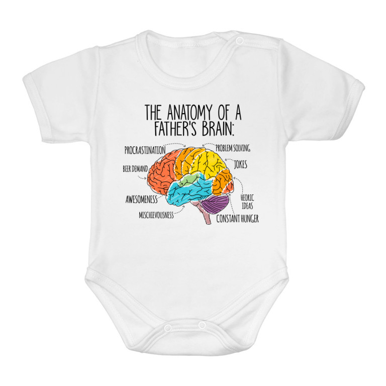 Dad brain anatomy