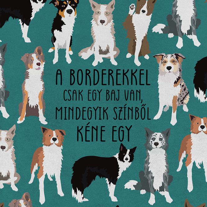 Border Színek