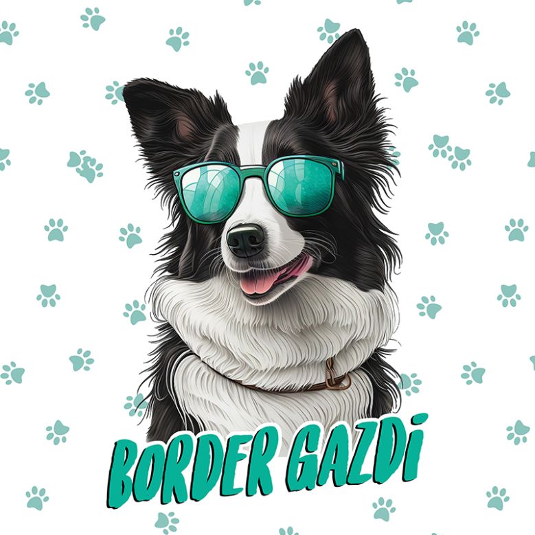 Border Gazdi - Tappancsos