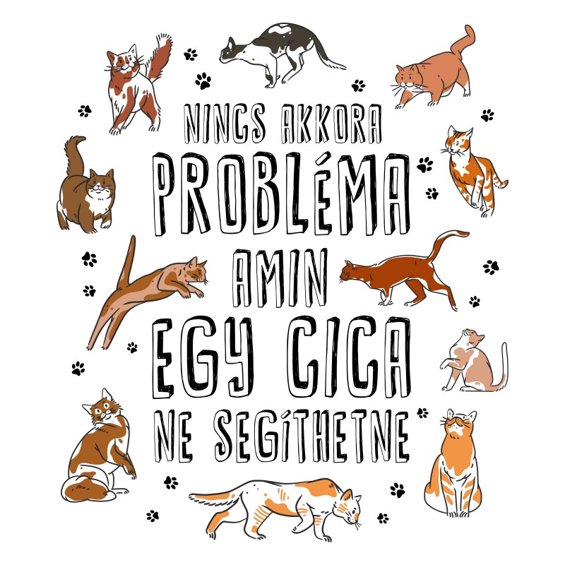 Nincs olyan probléma - cica
