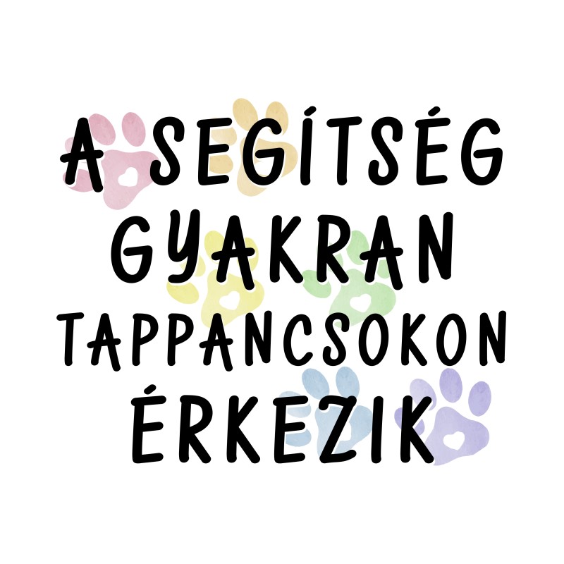 A segítség gyakran tappancsokon érkezik