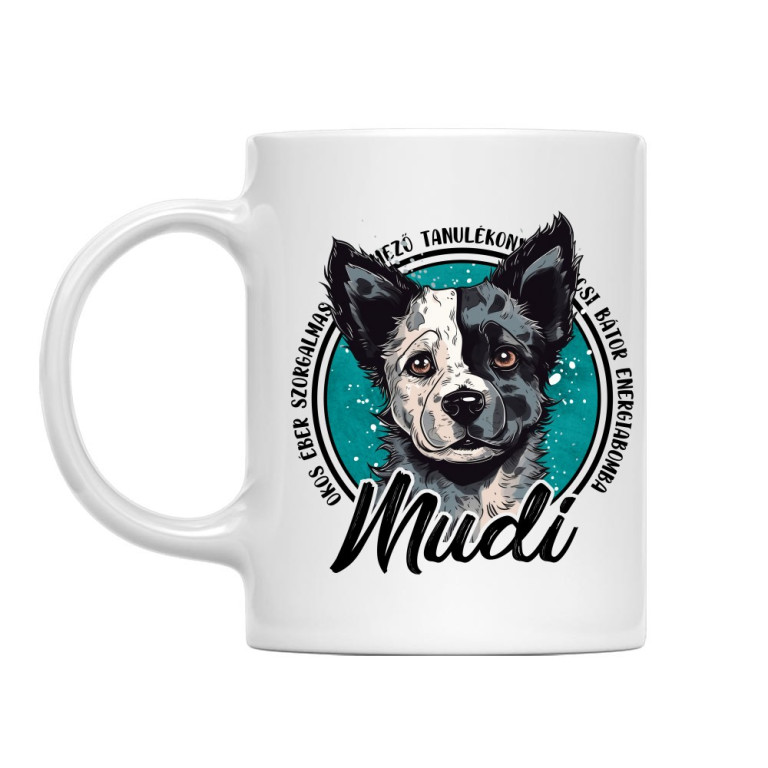Mudi - Jellemzők