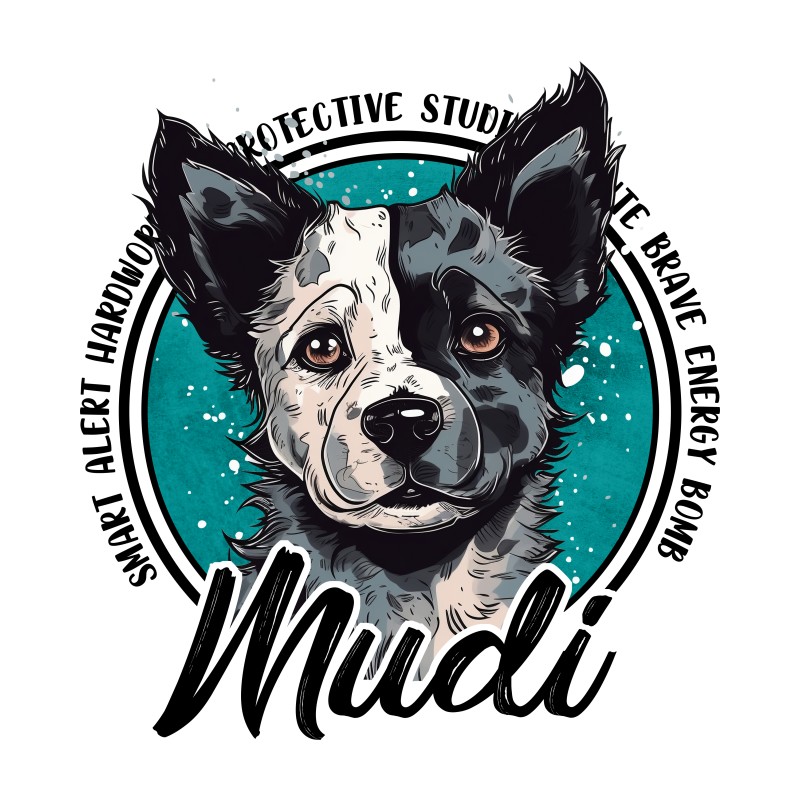 Mudi - Characteristics