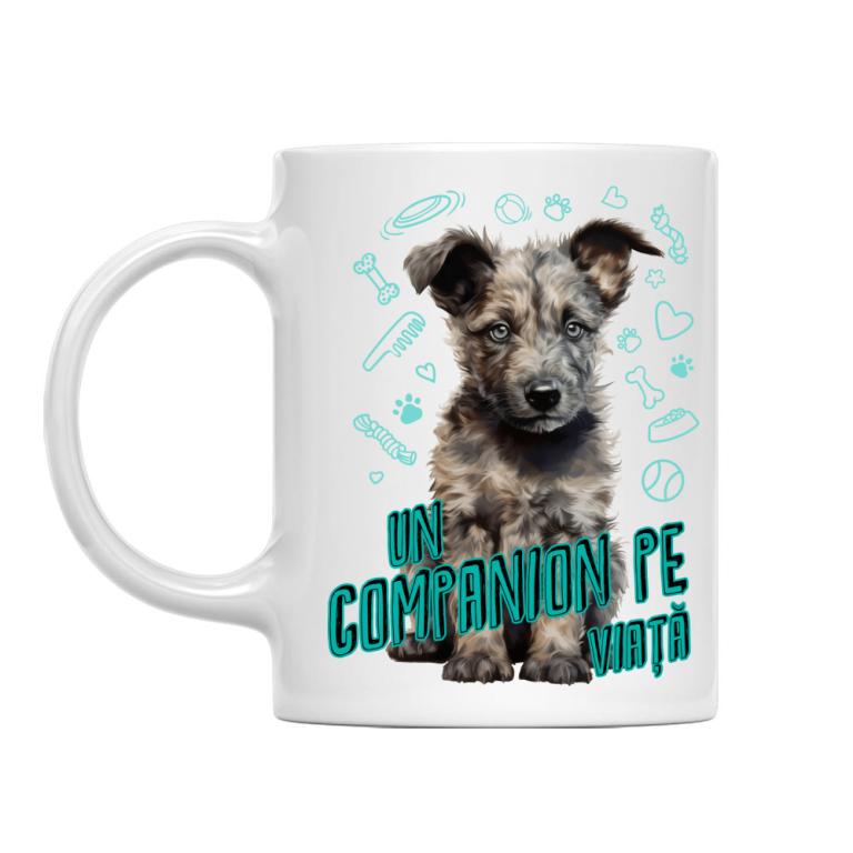 Mudi - Un companion pe viață