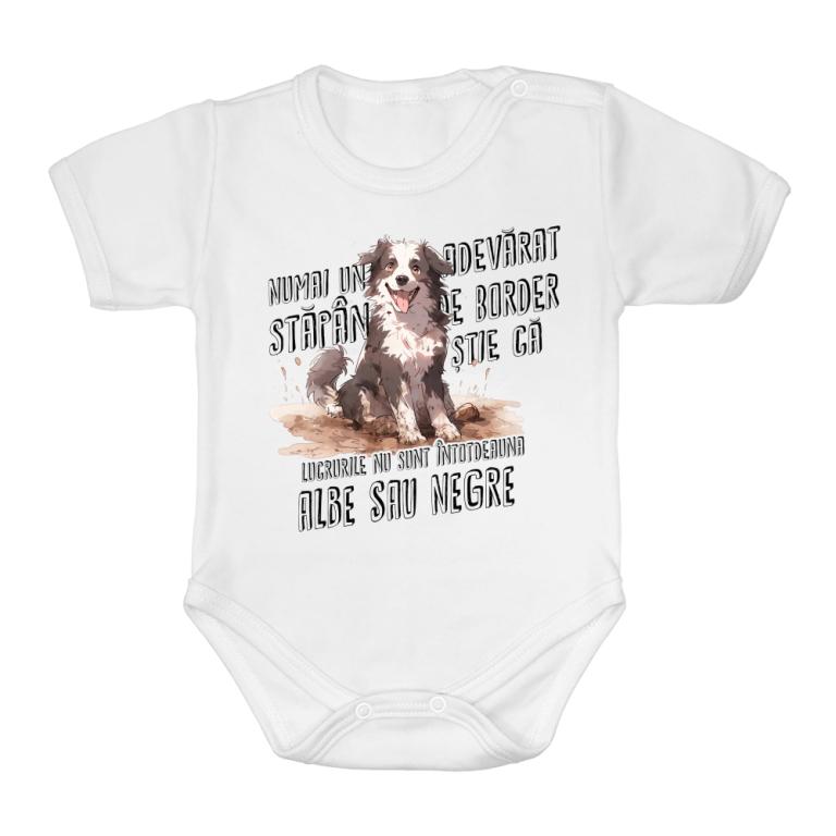 Negru și alb - Border Collie