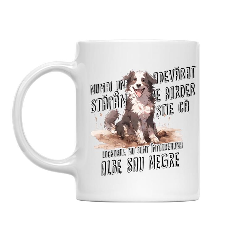 Negru și alb - Border Collie