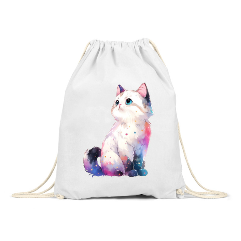 Galaxy Kitty