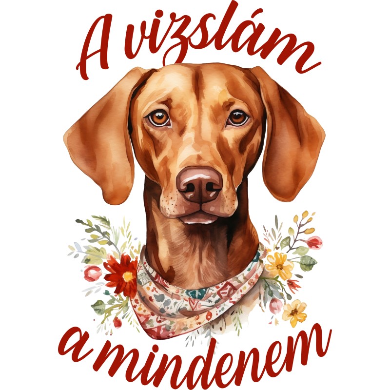 A vizslám a mindenem