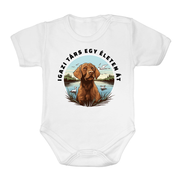 Társ - Vizsla - Baba Body