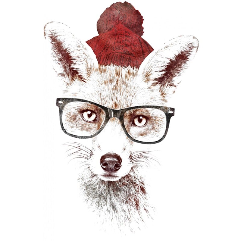 Hipster fox