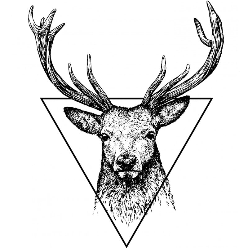 Deer in triangle