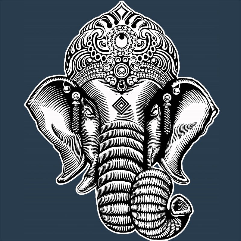 Genesa Head Linework Style