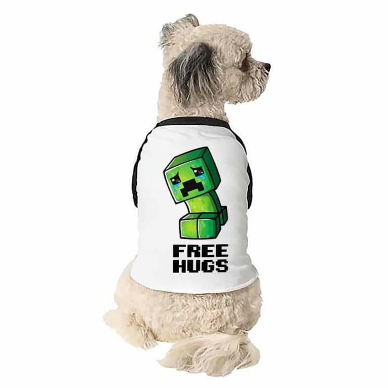 Creeper free hug