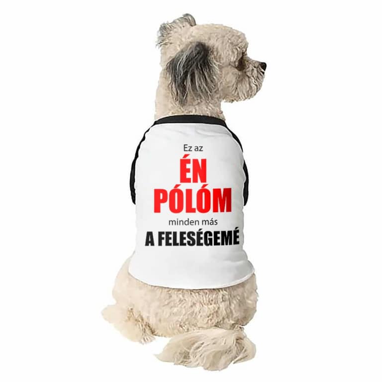 Ez az én pólóm