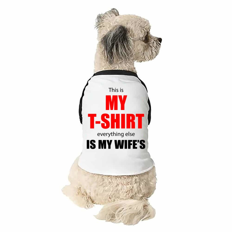 This is my t-shirt