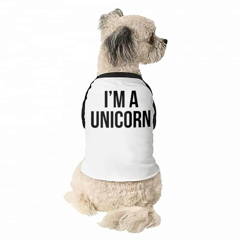 I'm a unicorn