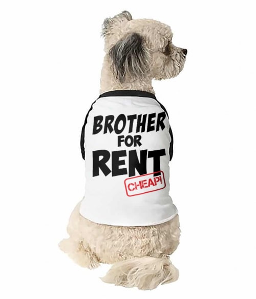 Brother for rent Testvér Állatoknak - Testvér