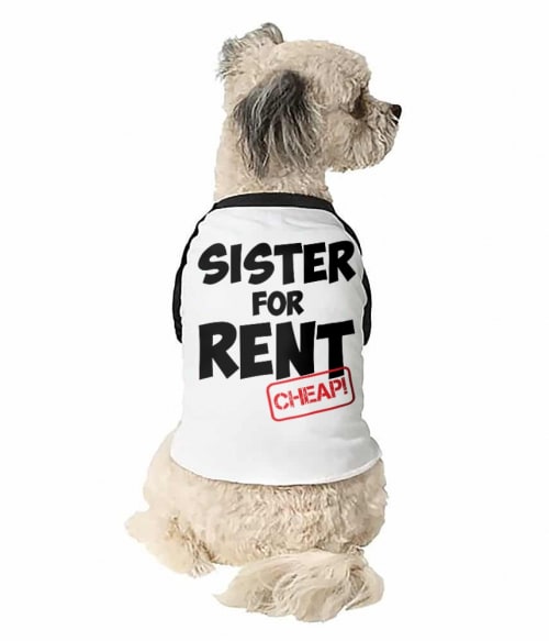 Sister for rent Testvér Állatoknak - Testvér