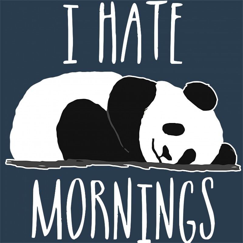 I Hate Mornings