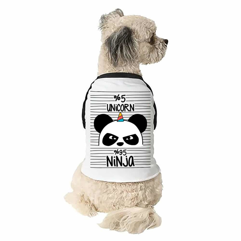 Unicorn Ninja Panda