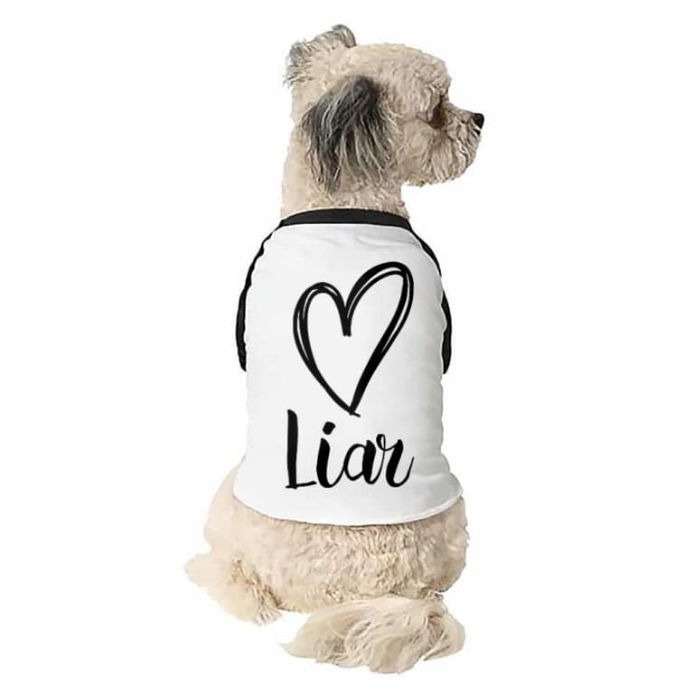 Liar Heart