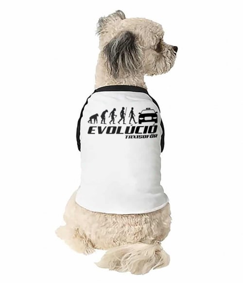 Evolúció Póló - Ha Taxi Driver rajongó ezeket a pólókat tuti imádni fogod!