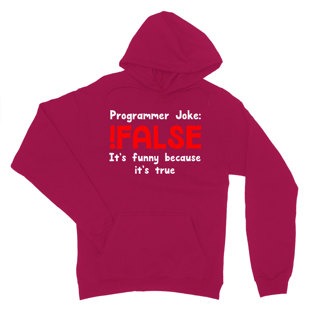 Programmer joke Női Pulóver