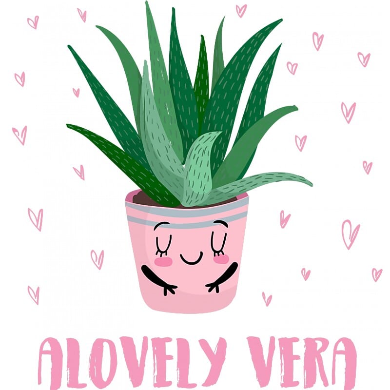 Alovely Vera