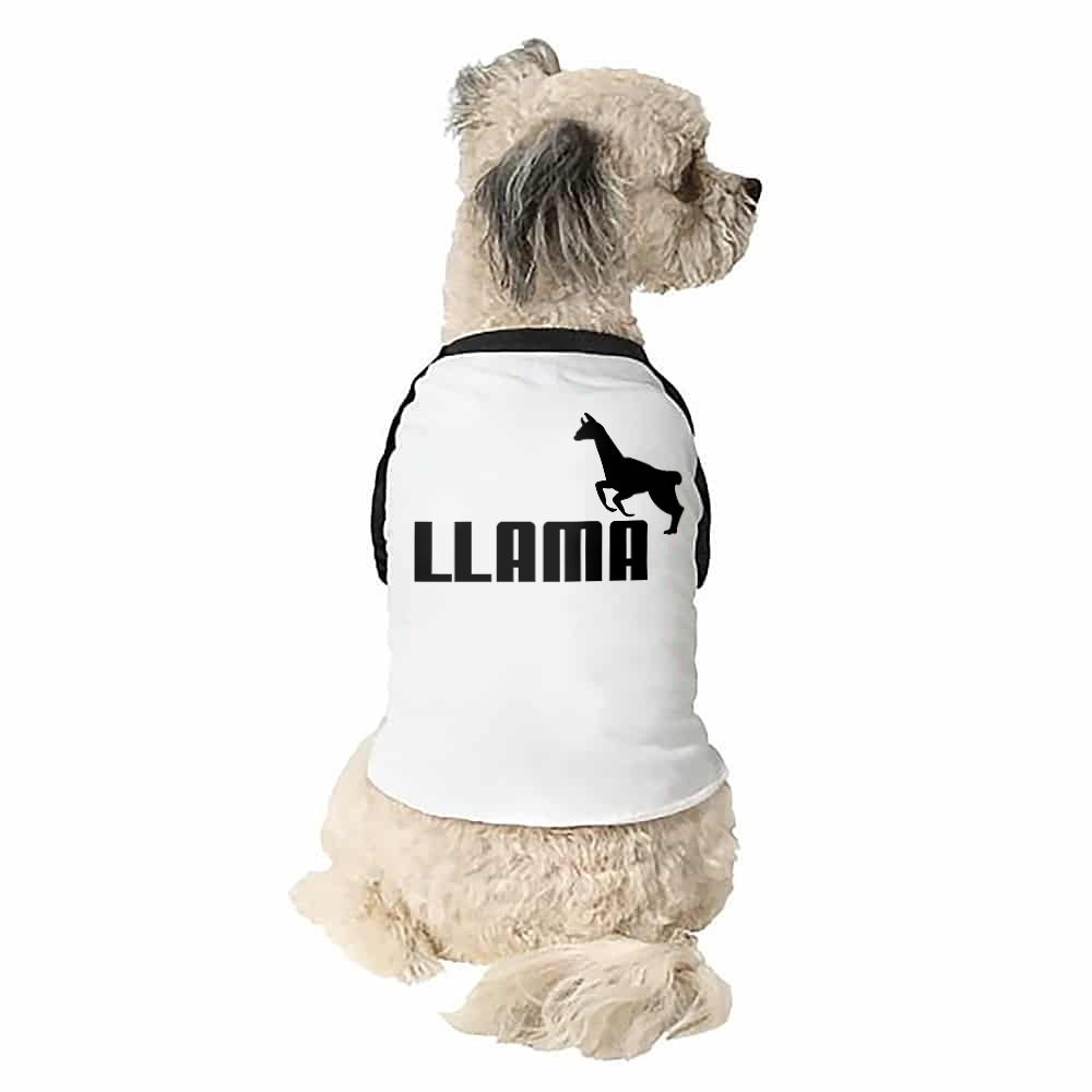 Llama logo Kutyapóló