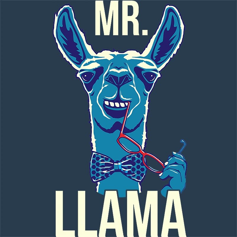 Mr. Llama