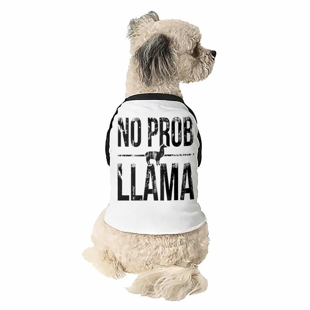 No prob llama Kutyapóló
