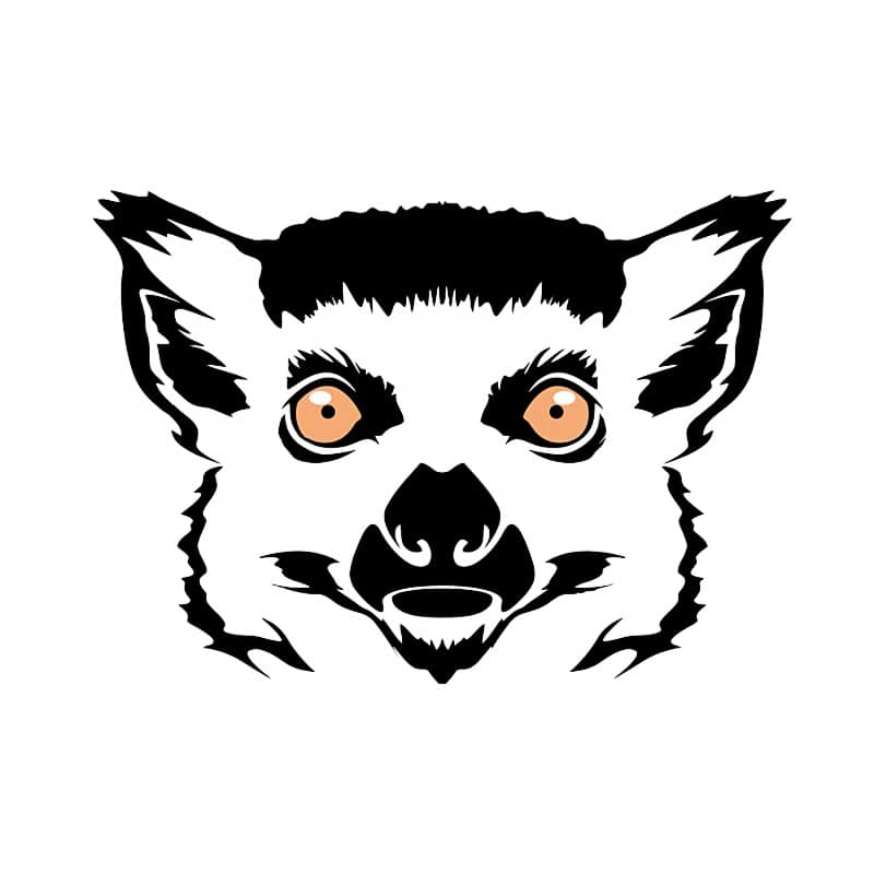 Lemur face