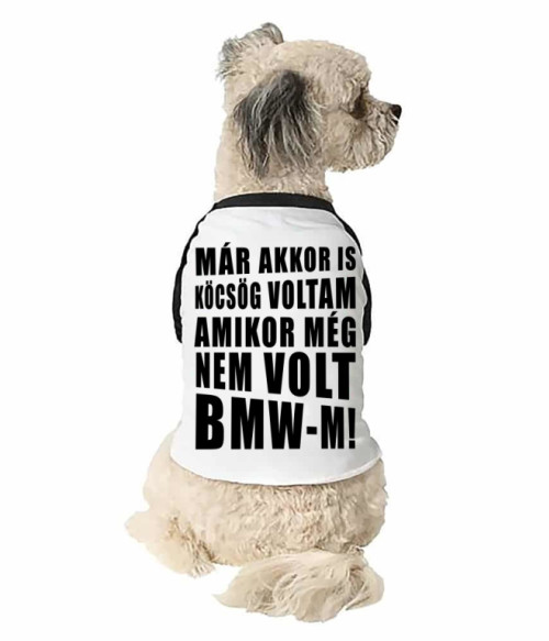 Köcsög BMW-s Járművek Állatoknak - Vezetés